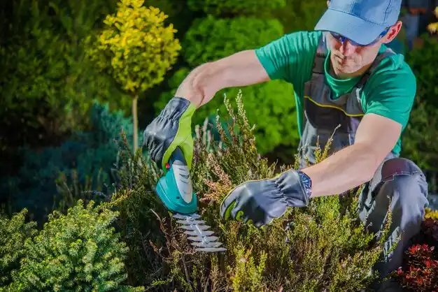landscaping services Sibley